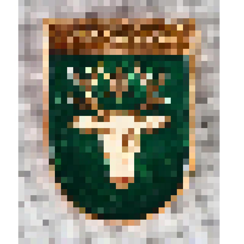 Коллекция значков из серии "Гербы  городов Восточной Пруссии". Значок Wehlau (Знаменск)