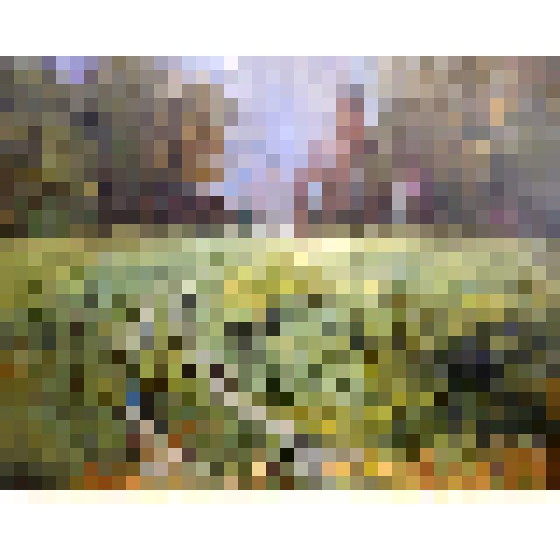 Тихий свет. Волоколамск