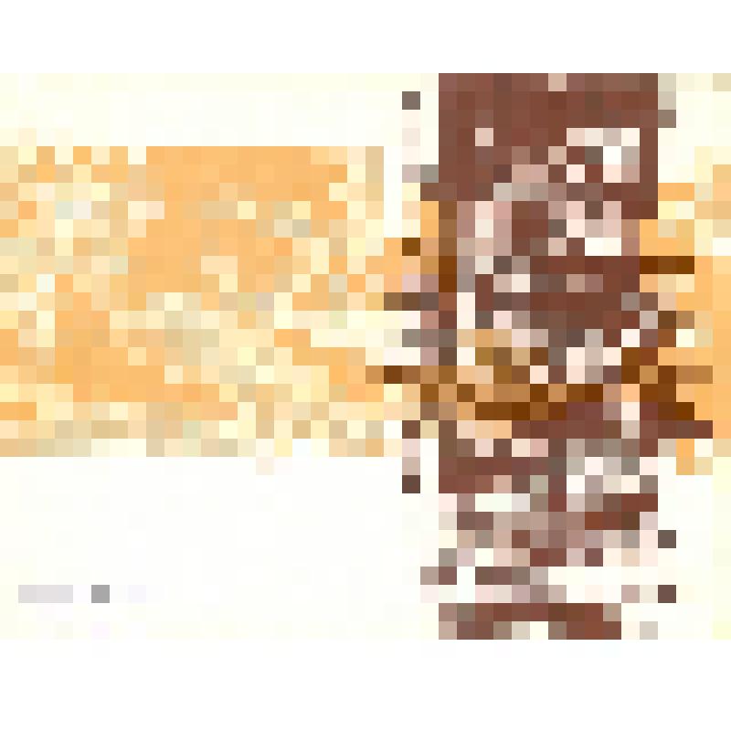 Набор открыток(15 шт.) в единой обложке Сборник песен о Советской Армии «Несокрушимая и легендарная»