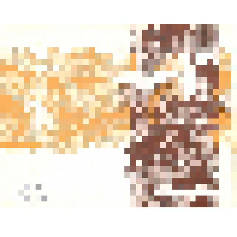 Набор открыток(15 шт.) в единой обложке Сборник песен о Советской Армии «Несокрушимая и легендарная»