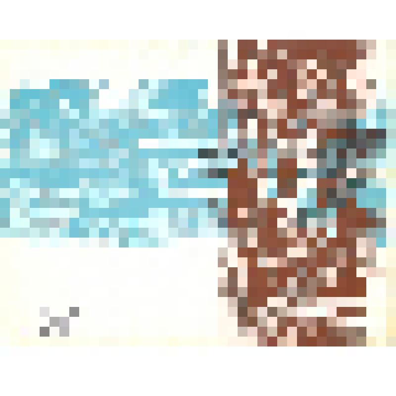 Набор открыток(15 шт.) в единой обложке Сборник песен о Советской Армии «Несокрушимая и легендарная»