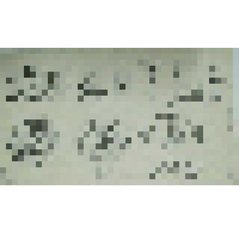 Орнамент. Инициалы и фрагменты декора. Рисунок