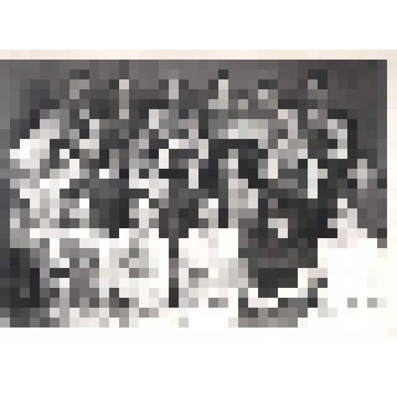 Фотография. Выпуск дошкольного отделения педагогического училища. В центре директор В.М.Милейко