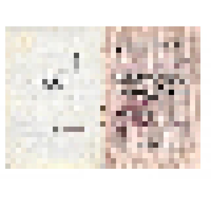 Документ. Удостоверение № 018830 Соколову Василию Ивановичу  в том, что он награжден медалью "Партизану Отечественной войны" первой степени за доблесть и мужество, проявленные в партизанской борьбе против немецко-фашистских захватчиков