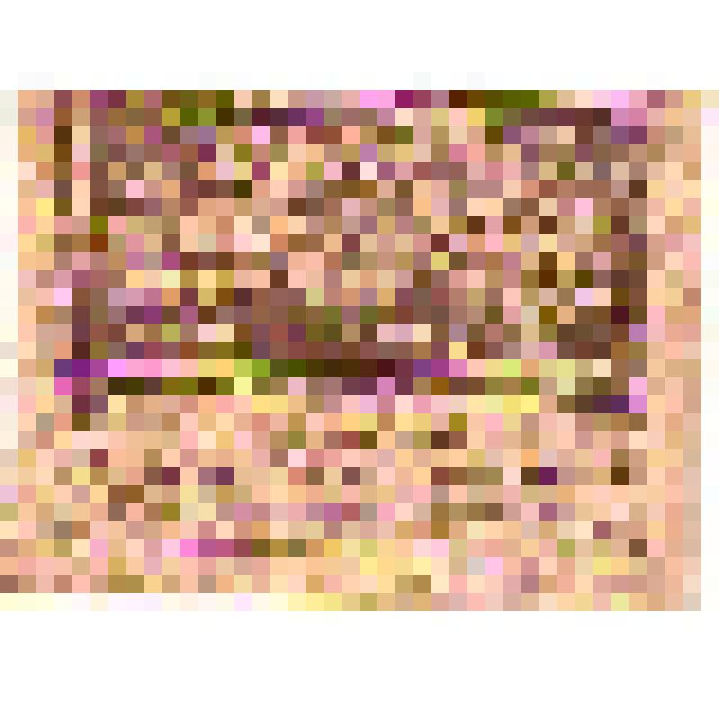 Казначейский знак 20 рублей. 1917-1919 г