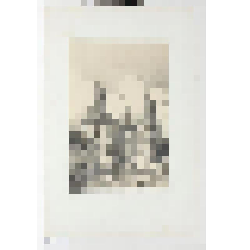 Литография. "Любек. Гольштейнские ворота."