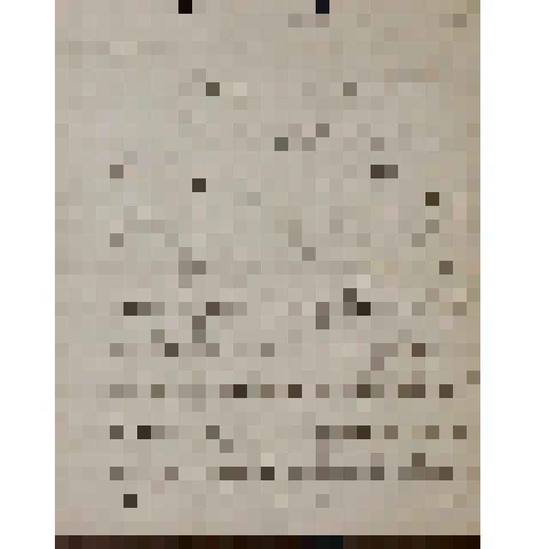 [Лонне Ив.] Письмо к Кондратьеву Алексею Михайловичу о развлечениях в Париже