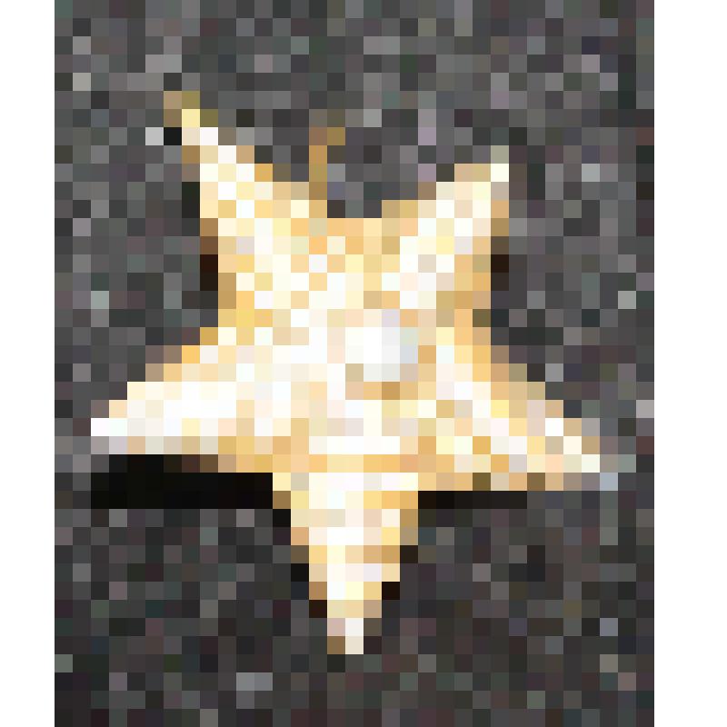 Звезда для повседневных и парадных погон старших офицеров Вооруженных Сил СССР (на кламере), из коллекции эмблем родов войск Вооруженных Сил СССР и РФ, форменных пуговиц и погон военнослужащих Советской и Российской армии