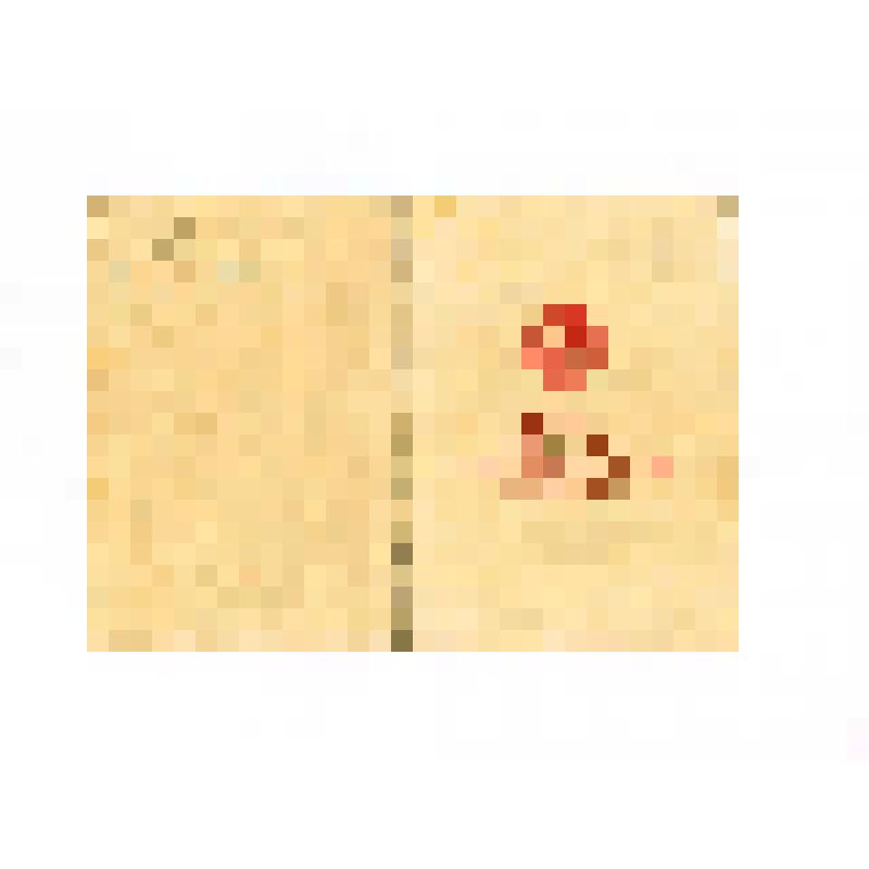 Документ. Удостоверение № 0153865 к медали Кондрашиной Нины Васильевны