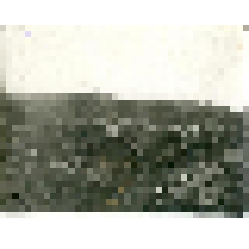 Фотография. Сангарские угольные разработки. Рабочий поселок