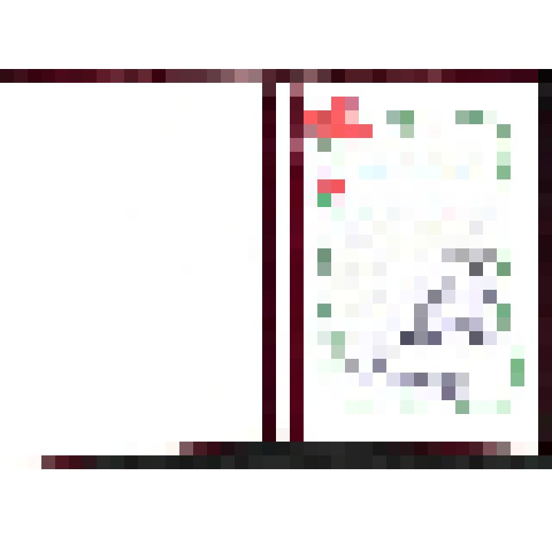 Приветственный адрес Президенту – Главе Правительства Республики Тыва Ш.Д.Ооржаку адрес от имени командования и личного состава Кызылского пограничного отряда полковник В.Фертовой