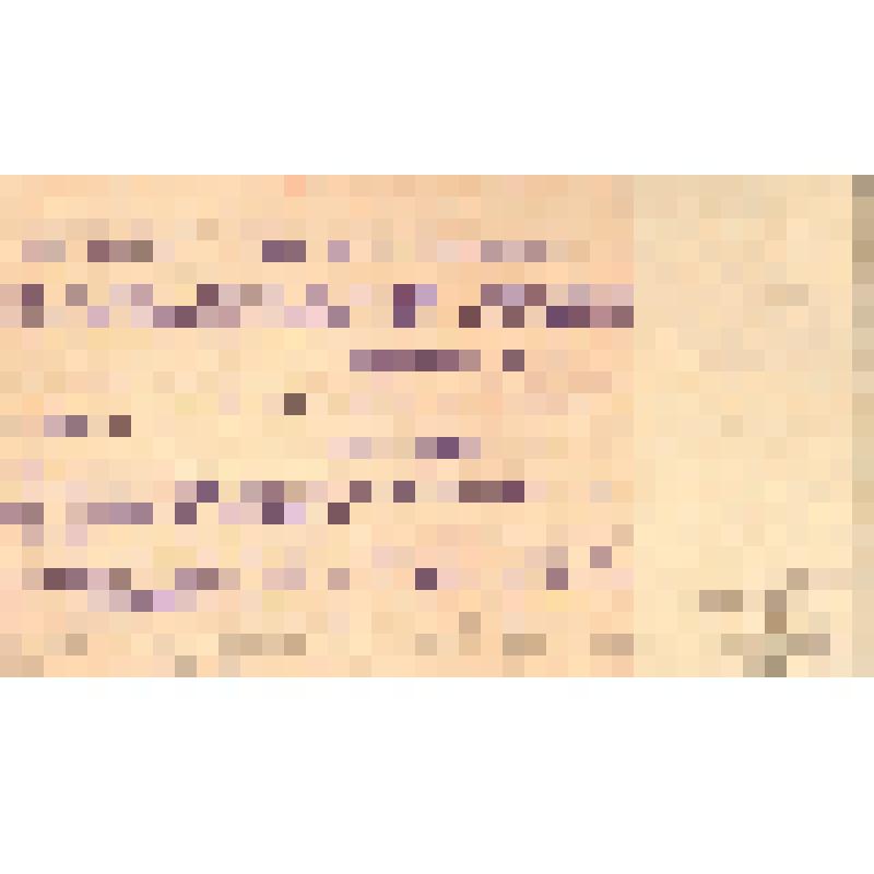 Мандат № 74 И.П. Новосёлова