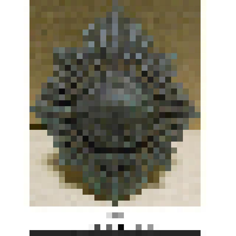 Герб киверный (кокарда на головной убор) Колдстримского Гвардейского полка