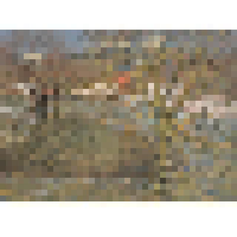 Речка разлилась