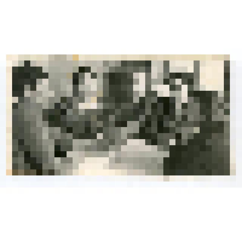 Фото групповое. Участницы встречи трактористок 1930-1940-х годов