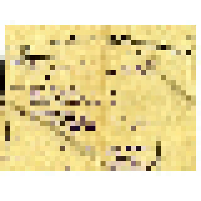 Список трудовой Зубилова Л.Я