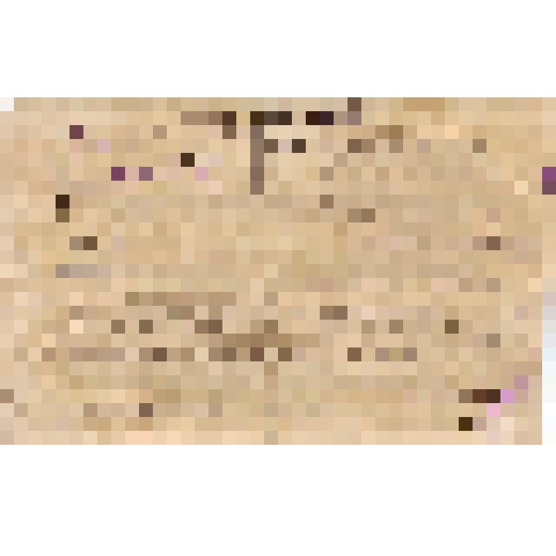 Телеграмма министра просвещения РСФСР Кондакова М.И. с поздравлениями в адрес Волотовской П.П., удостоенной звания заслуженного учителя РСФСР