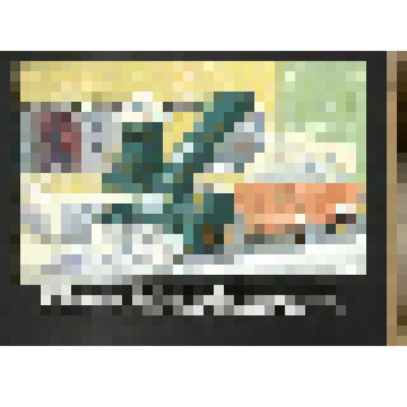 эскиз кадра к макету диафильма. Лист № 5: Уборка снега
Фильм: Рассеянная машина. 1981