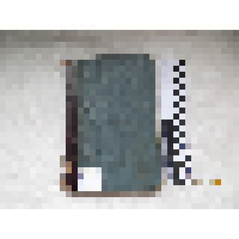 Книга. Н.В. Гоголя. Похождения Чичикова или мертвые души, поэма. Т.1