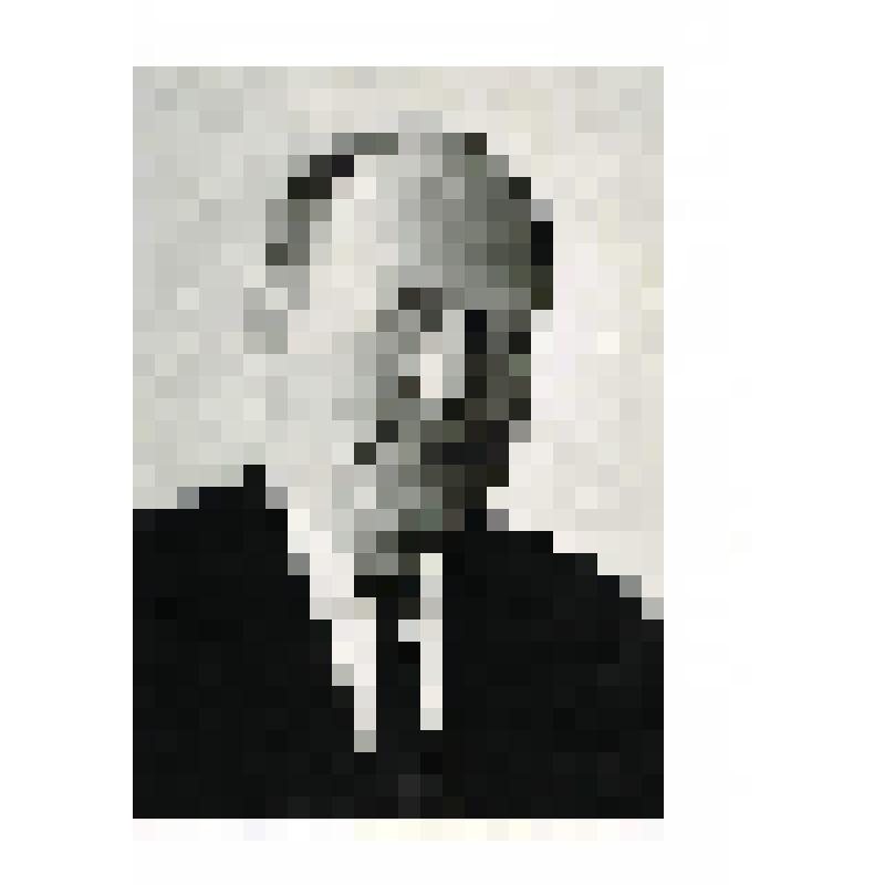 Фотография черно-белая. Анисимов В.В