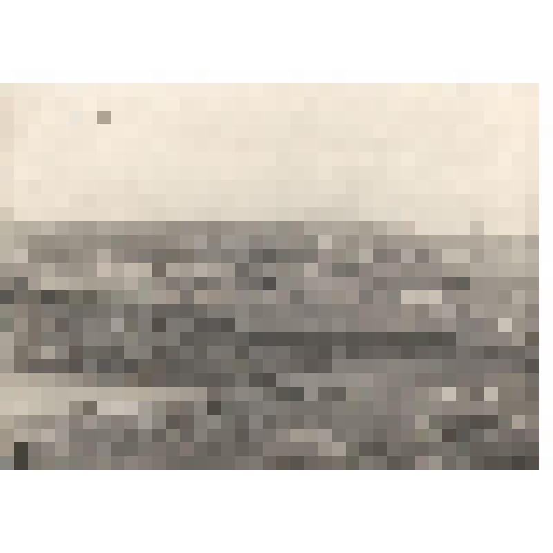 Фотография. Общий вид  НУЗа