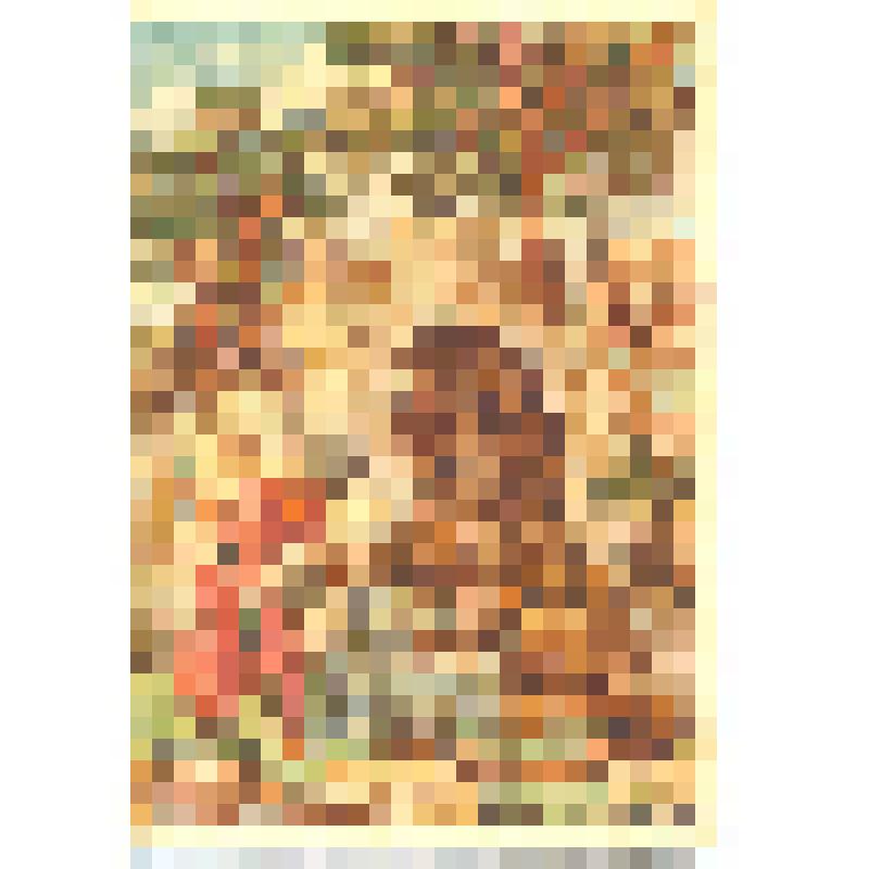 Почтовая открытка «Мамед-джан», цвет