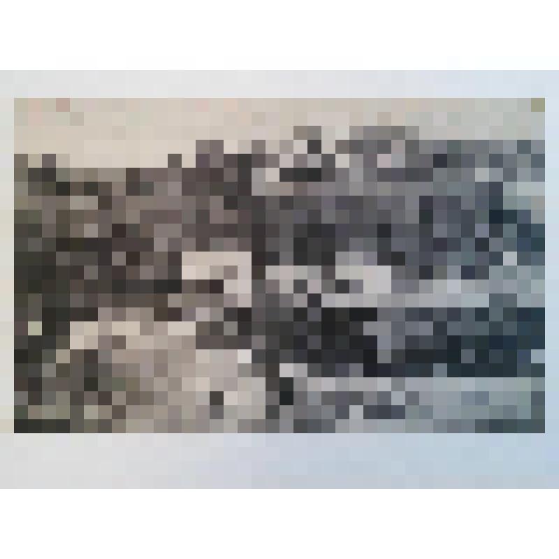 Военно-Грузинская дорога. Душет. Вид жилого поселения среди зелени. Издатель не указан