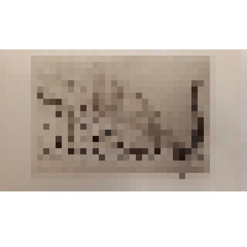 США, Нью-Йорк. Парк-авеню. Общий вид. Malcolm C. Salamon, London