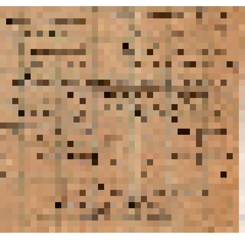 Отчет правления колхоза "Активист" о сортовых посевах в весеннюю посевную компанию