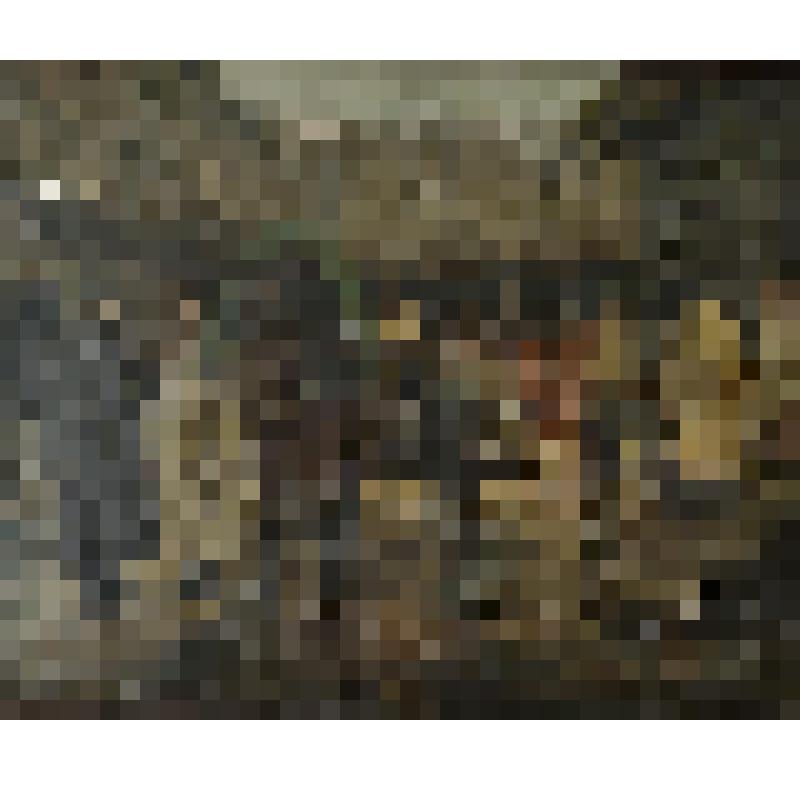 Картина. Сбор недоимок