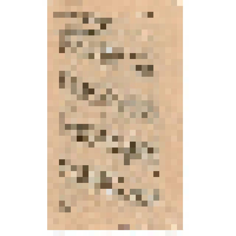 Проект программы Российской Социал -Демократической Рабочей партии. (Вещественные доказательства  по делу Александра Лапинского, сброшюровано и заверено печатью жанд. управл.)