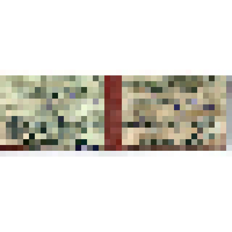 Билет члена рев. Комиссии ЦК КП(б) Таджикистана IV созыва Курова И.М