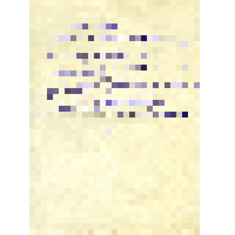 Рукопись Зырянова Константина Владимировича Записка сотрудникам Дивногорского городского музея. [2000-е]