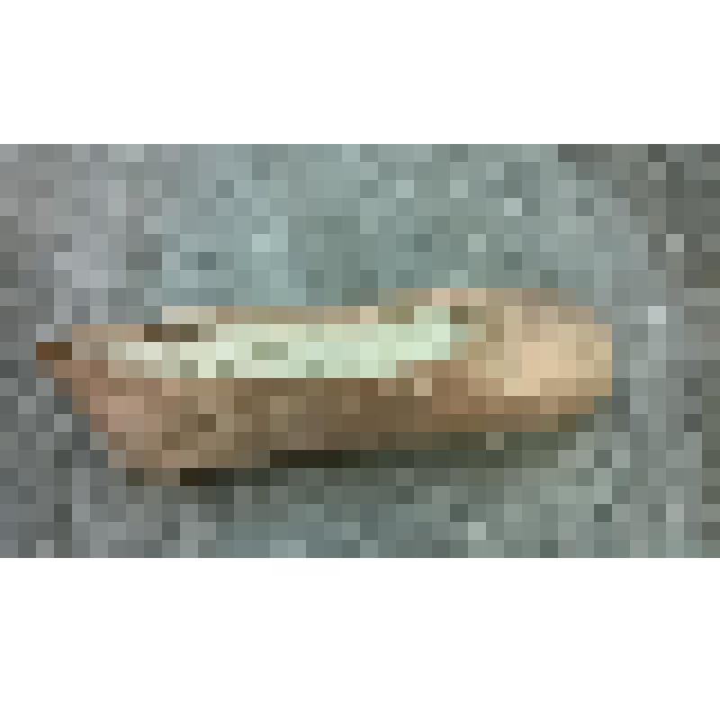 Пуант  Трефиловой В.А..  Розовый. "Лебединое озеро". Чайковский П.; 1922, балетм. Горский А.А., худ. Коровин К.А