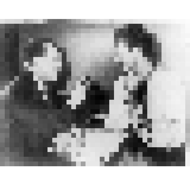 Негатив. Клиберн В.(справа) - пианист