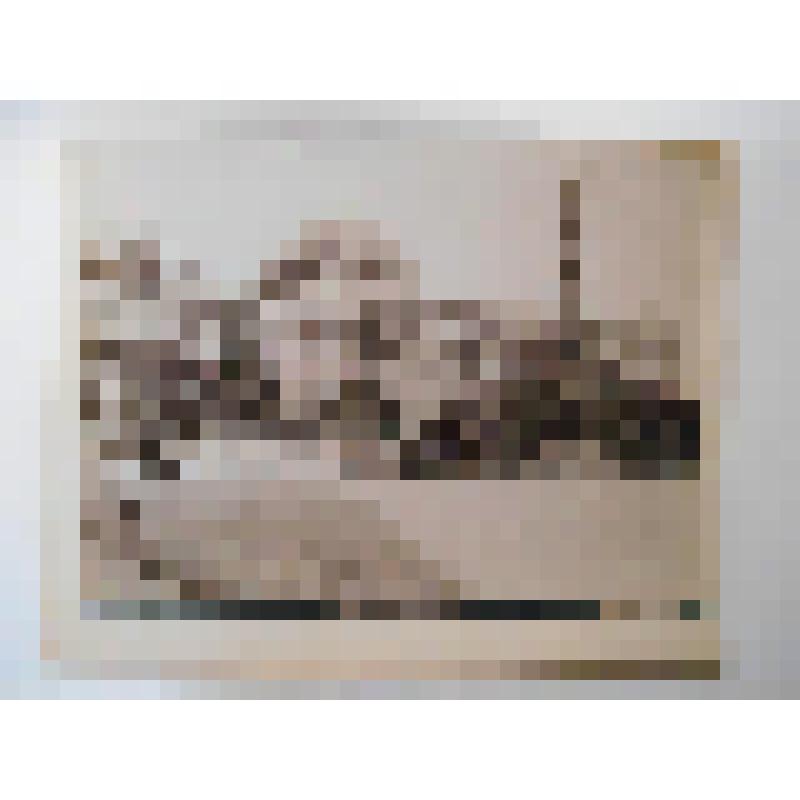 Университет. Рингштрассе. 1877-84 гг. Австрия, г. Вена. Университет. 1877-84 гг. фон Ферстель Генрих. Общ. вид. PHOT. W. KRAL