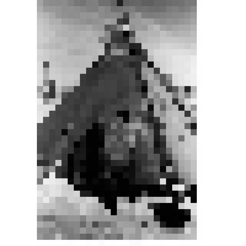 Фотография. Чум на зимнем стойбище