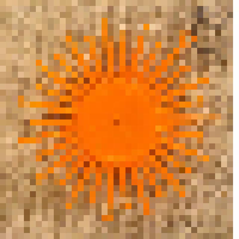 Игрушка елочная «Солнце», из коллекции елочных игрушек и украшений