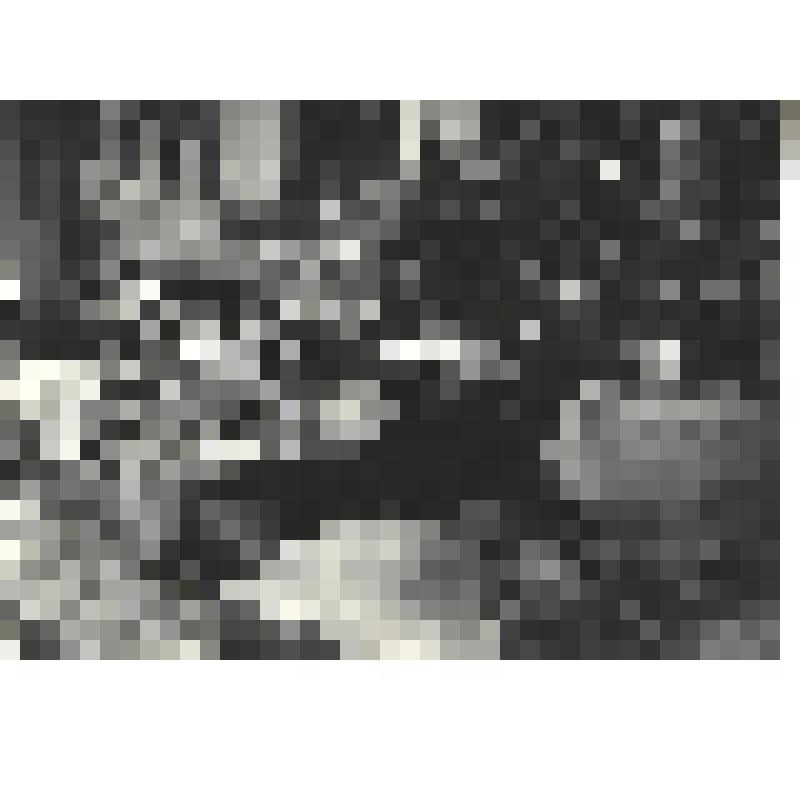 Фотографии. Фото ч/б. Бойцы ведут бой с фашистами в центре г. Севастополя, 1942 г