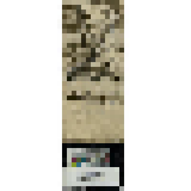 Портрет Мартин де Аспилькуэта Наварро римского судьи и адвоката. "Martinus Navarrus Ictus e Advocatus Romae"