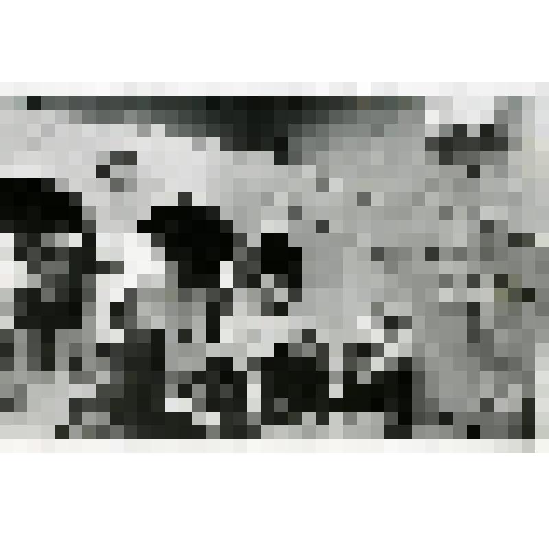 ГМИИ им. А.С.Пушкина. В зале итальянского и немецкого искусства. Фотография