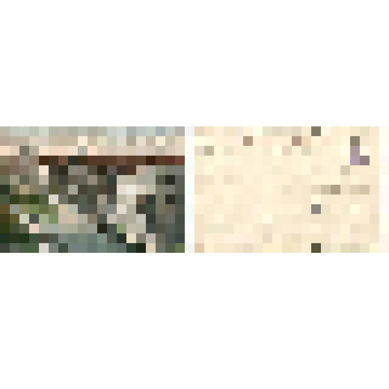 "С.-Петербург. Публичная библиотека", открытка