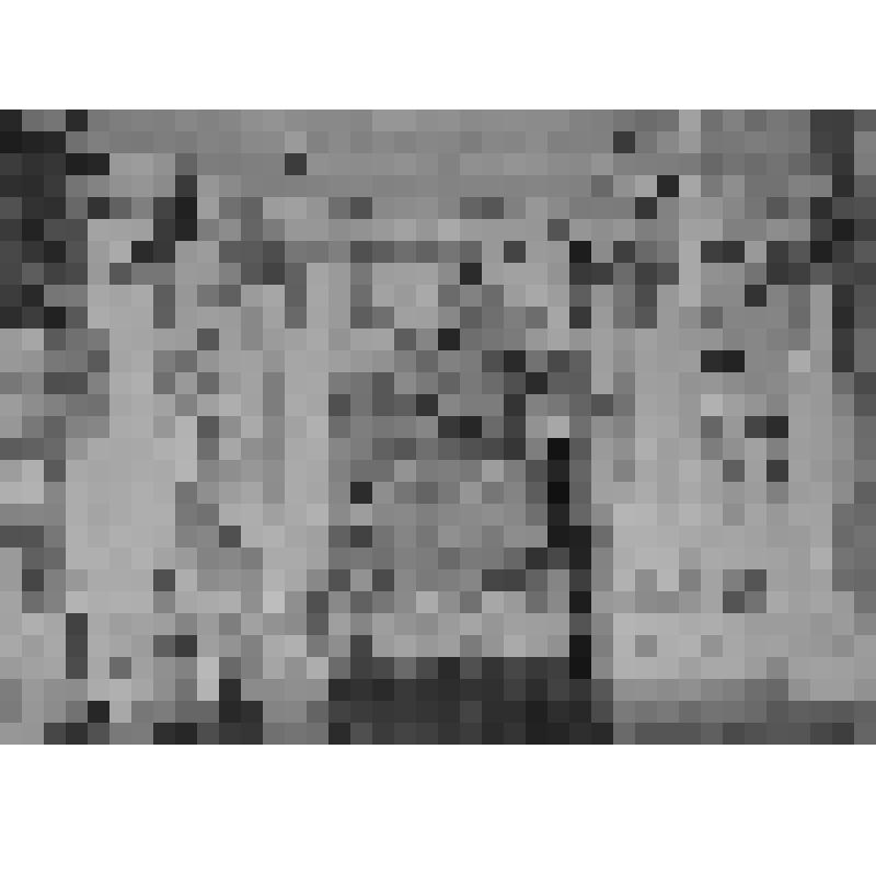 Большой дворец. Куропаточная гостиная. Южная стена