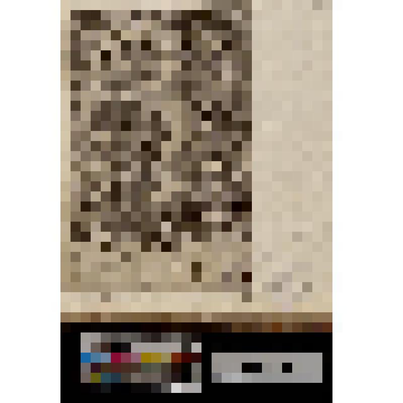 Аполлон и Дафна.  «II Apollo a Daphne»