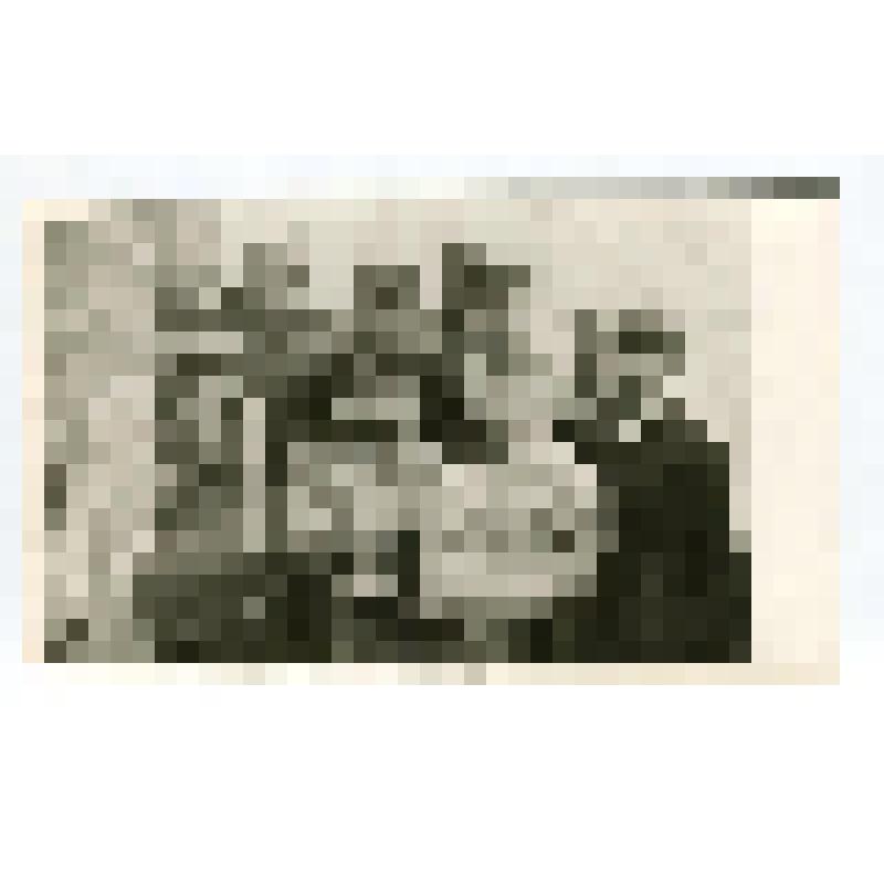 Фото групповое. Учителя Хованской начальной школы