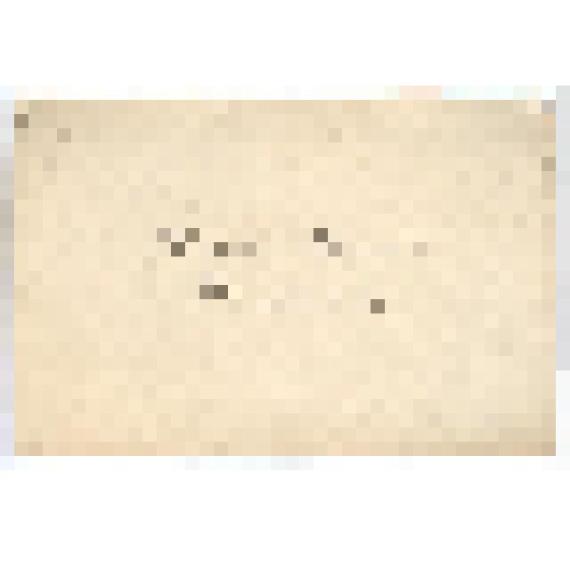 Карточка визитная "Болеславъ Ивановичъ Брониковскiй. Инженеръ-Технологъ"