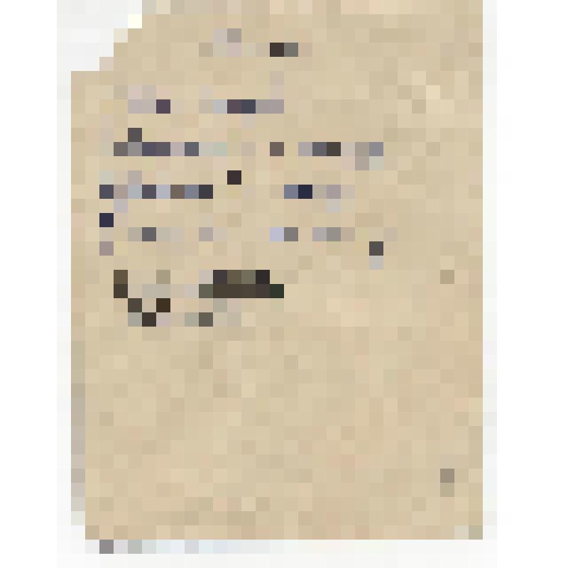 Фотография. Копосов П.В. среди товарищей