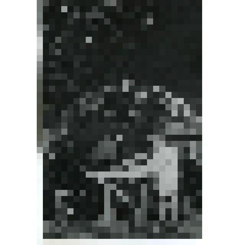 Фотография. Ефросинэ - А. Богданова, Никифорэ - А. Ходурский, оба сидят в саду за столиком и чокаются. "Стрекоза" (Пост. - Д. Тункель. Худ. - А. Матвеев.). Москва, Центральный театр Советской армии