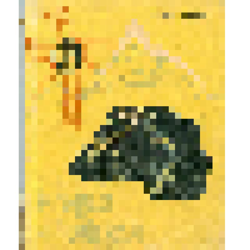 Книга. Р.Б. Рубель. В горах и пещерах