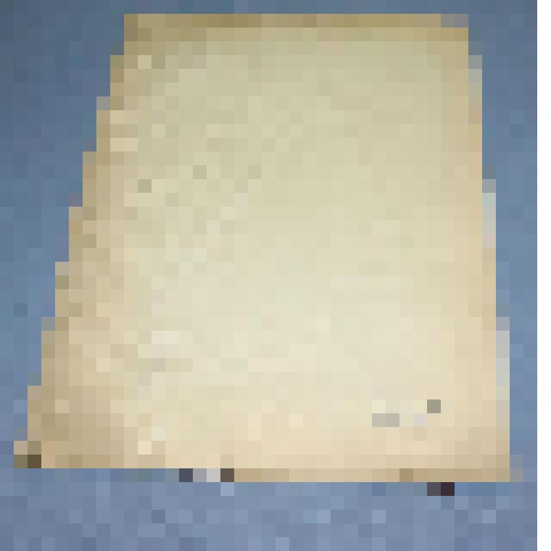 Ботаническая коллекция. Овсяница овечья,семейство злаковые, на гербарном листе, каменистая степь Cем. Yramineae  P. Festuca  L   B. Festuca  cvina L